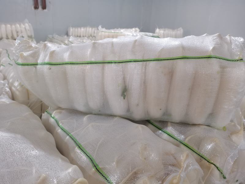 优质白萝卜湖北冬季萝卜品质好货源充足支持电商商超发货