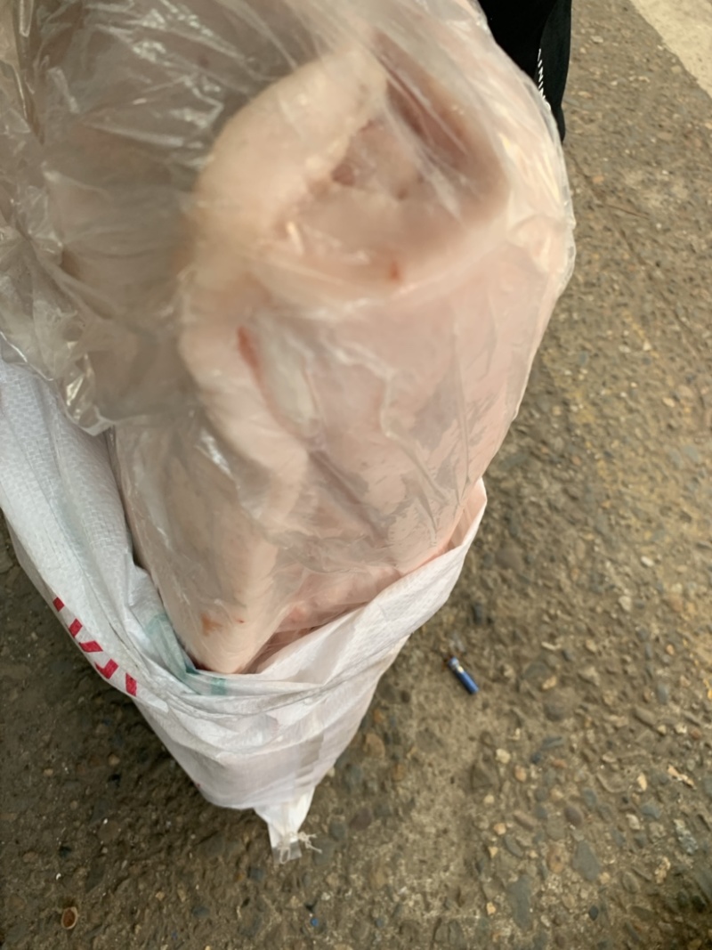 （新鲜肥猪油）国产肥猪精脊膘，物美价廉，实惠便宜欢迎咨询