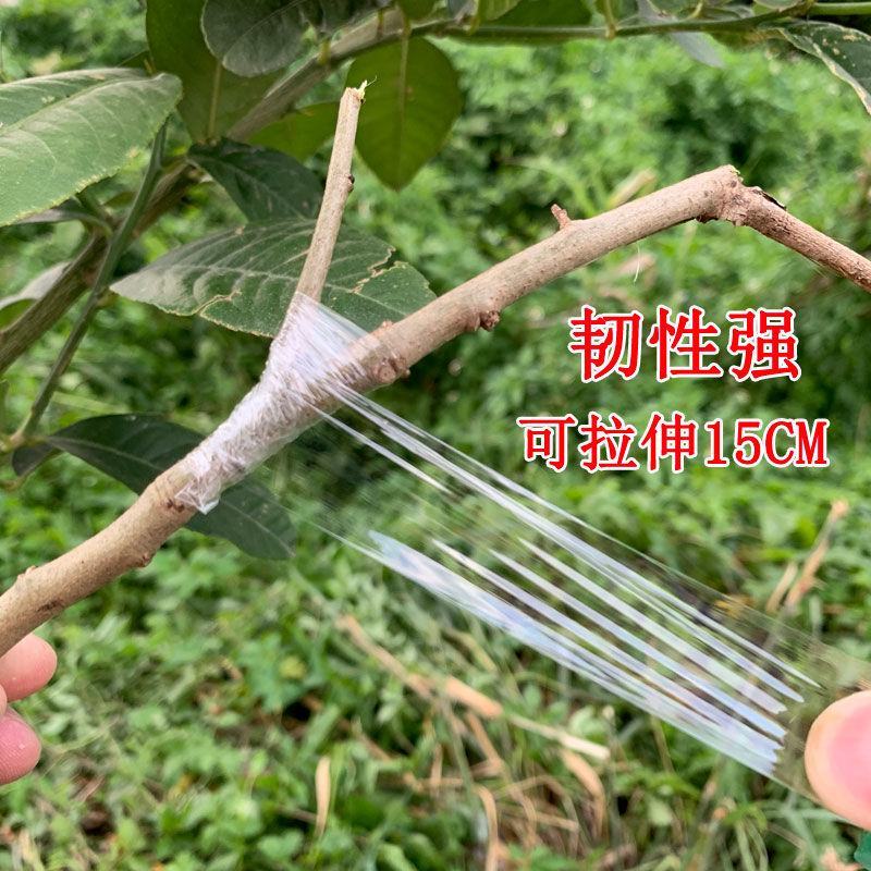 嫁接膜接树果树缠绕膜嫁接专用塑料薄膜自粘环保透明拉伸膜保