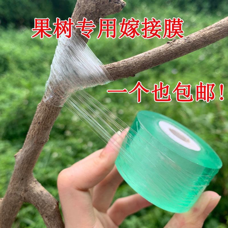 嫁接膜接树果树缠绕膜嫁接专用塑料薄膜自粘环保透明拉伸膜保