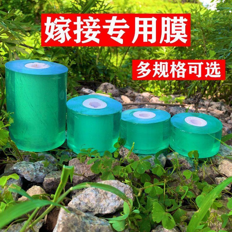 嫁接膜接树果树缠绕膜嫁接专用塑料薄膜自粘环保透明拉伸膜保