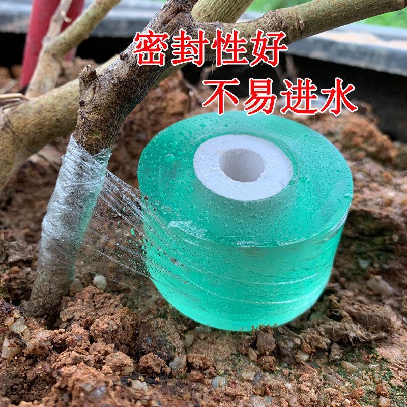 嫁接膜接树果树缠绕膜嫁接专用塑料薄膜自粘环保透明拉伸膜保
