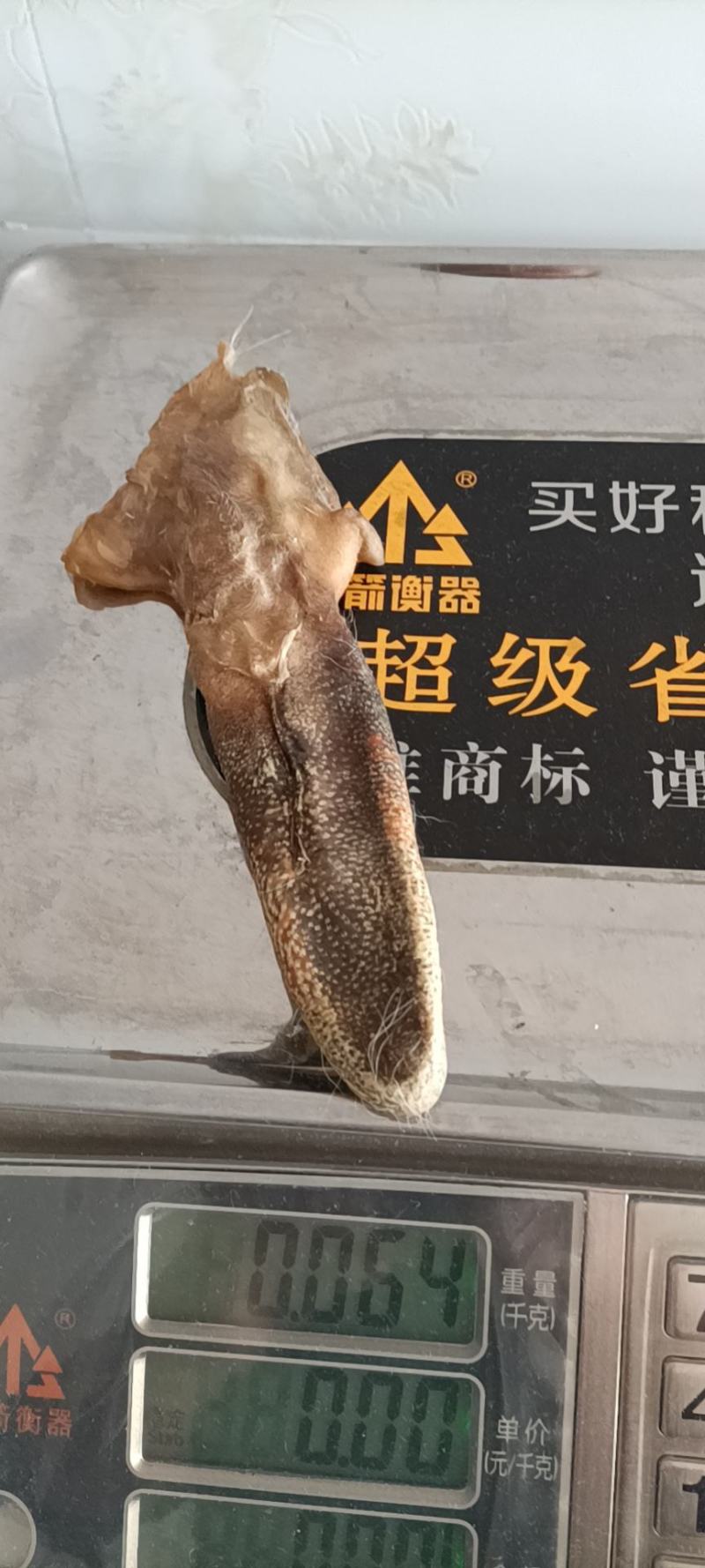 梅花鹿鹿尾，干鹿尾！梅花鹿鹿尾，干鹿尾！