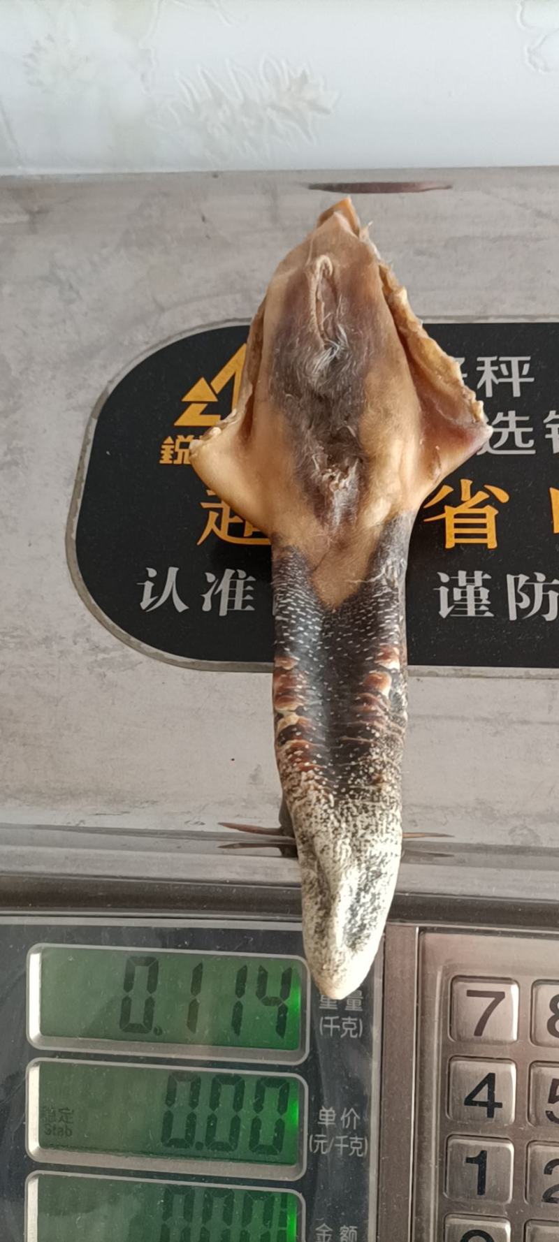 梅花鹿鹿尾，干鹿尾！梅花鹿鹿尾，干鹿尾！