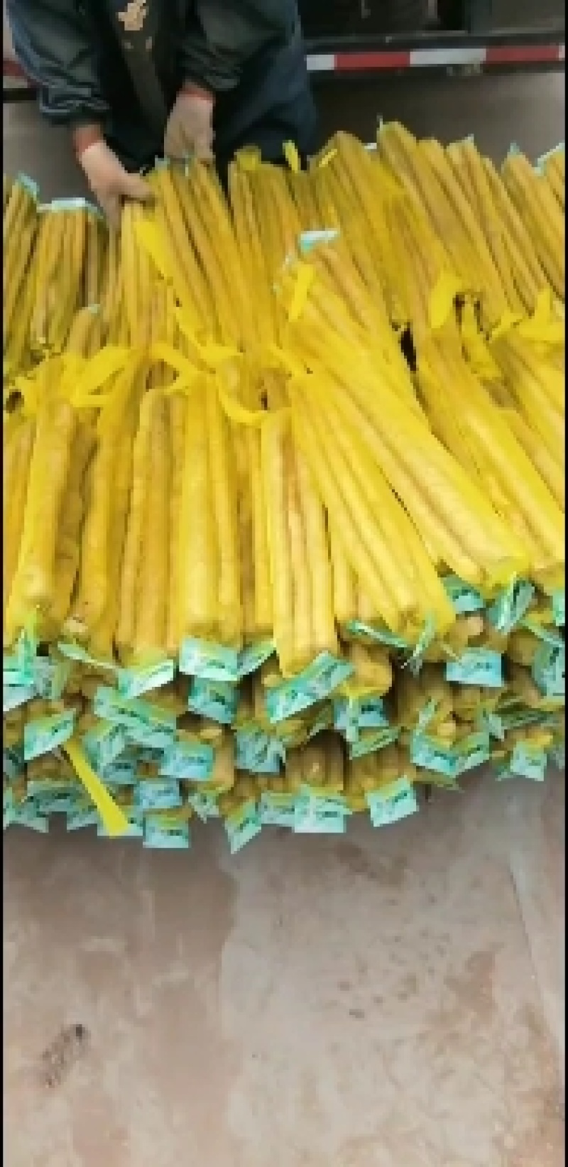 精品铁棍山药水洗网袋货产地直发按需包装量大优惠