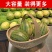 仿藤编织藤手提篮子家用买菜购物篮水果蔬菜蓝水果采摘篮野外