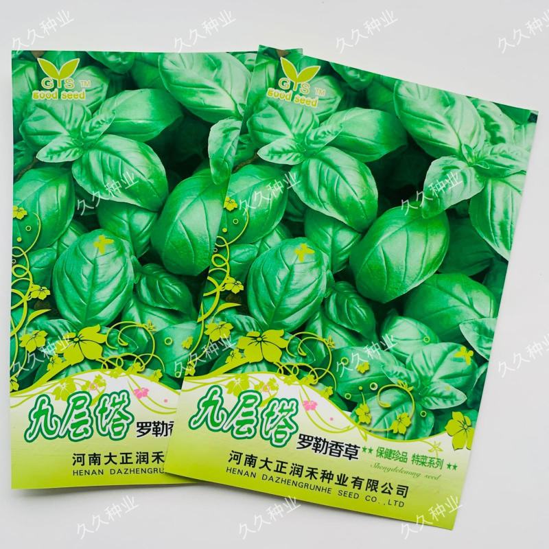 九层塔种子罗勒香草种子金不换柠檬甜罗勒种籽特色蔬菜种子籽