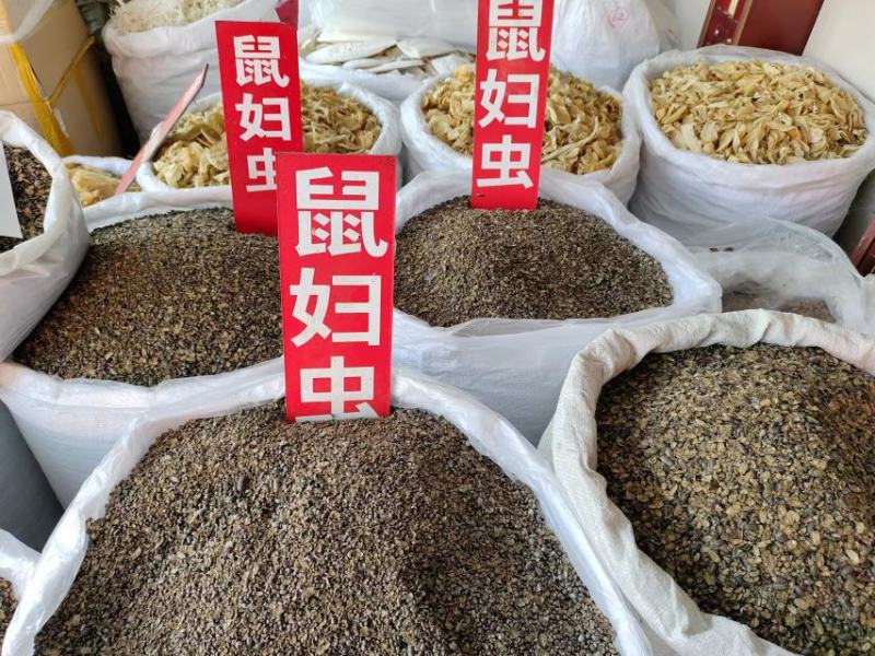 鼠妇虫，中药材鼠妇虫，产地直发，一手货源，量大从优