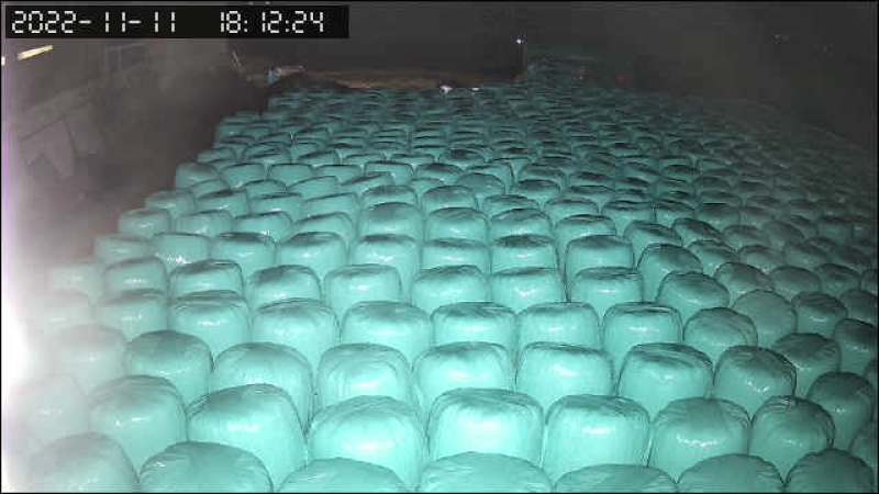 玉米秸秆黄储50包