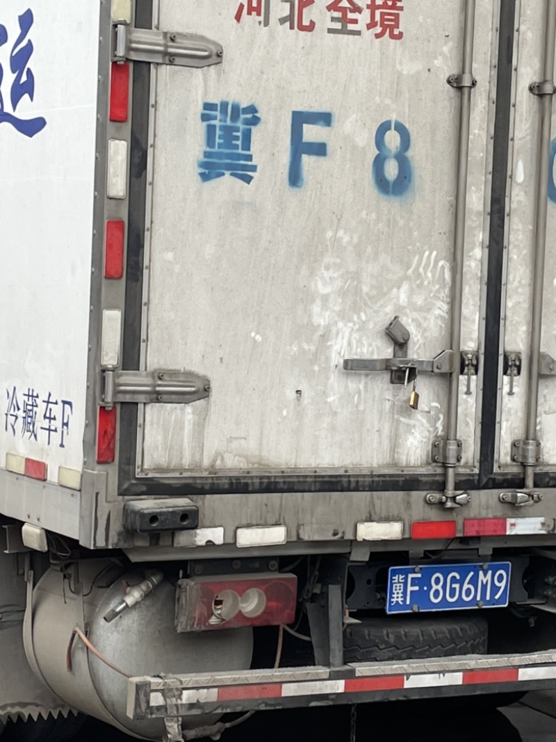陕西阳光玫瑰批发价格