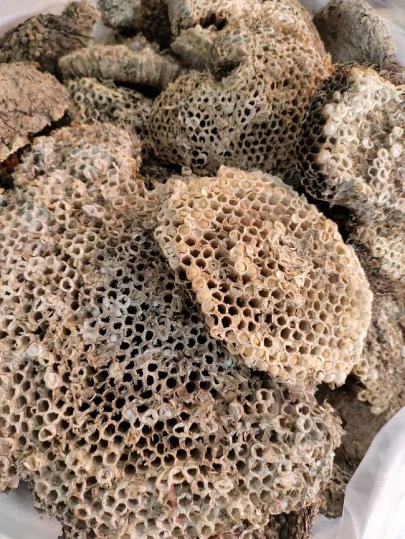 中药材蜂房，产地直发，一手货源，量大从优，欢迎采购