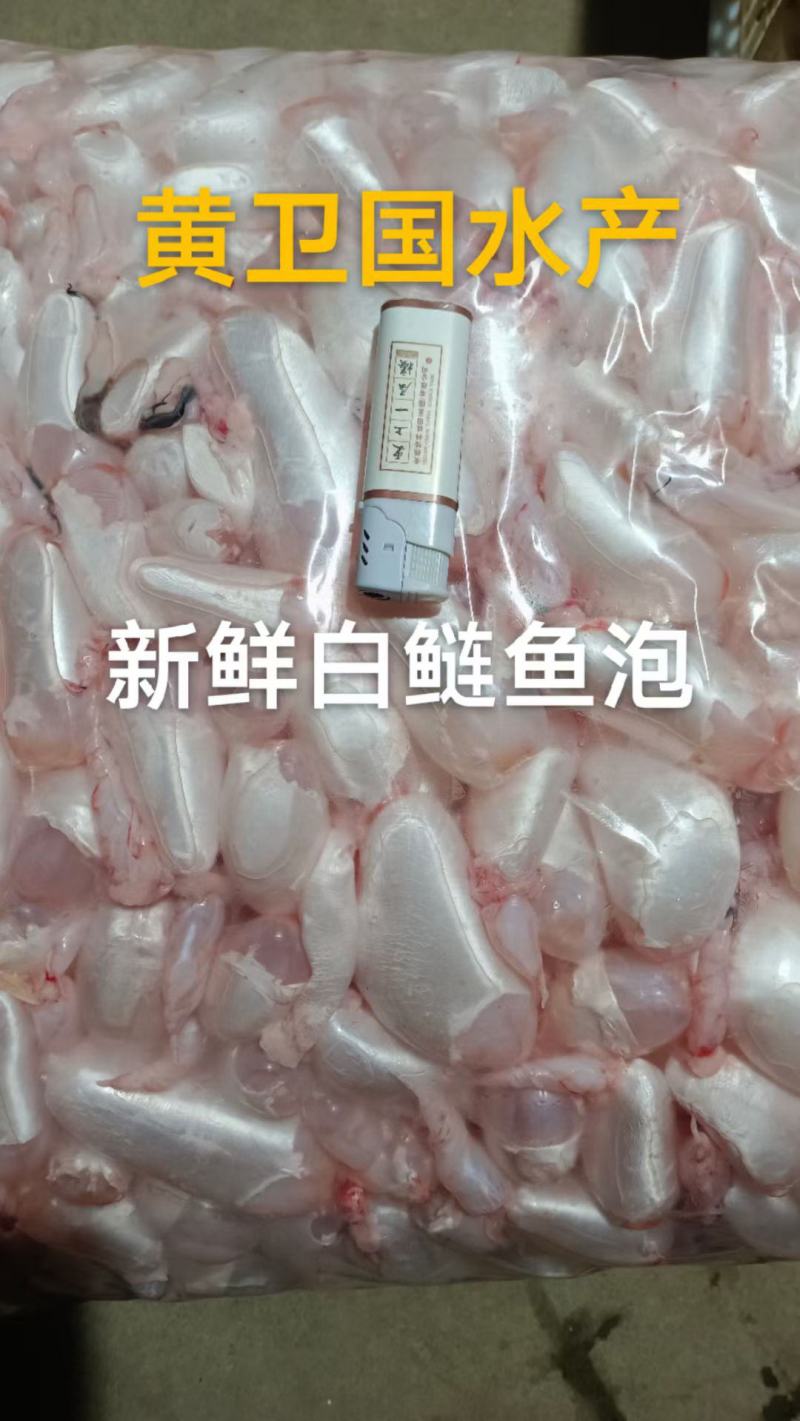 新鲜鱼籽:鱼蛋:鱼泡:鱼白:产地直发一手货源