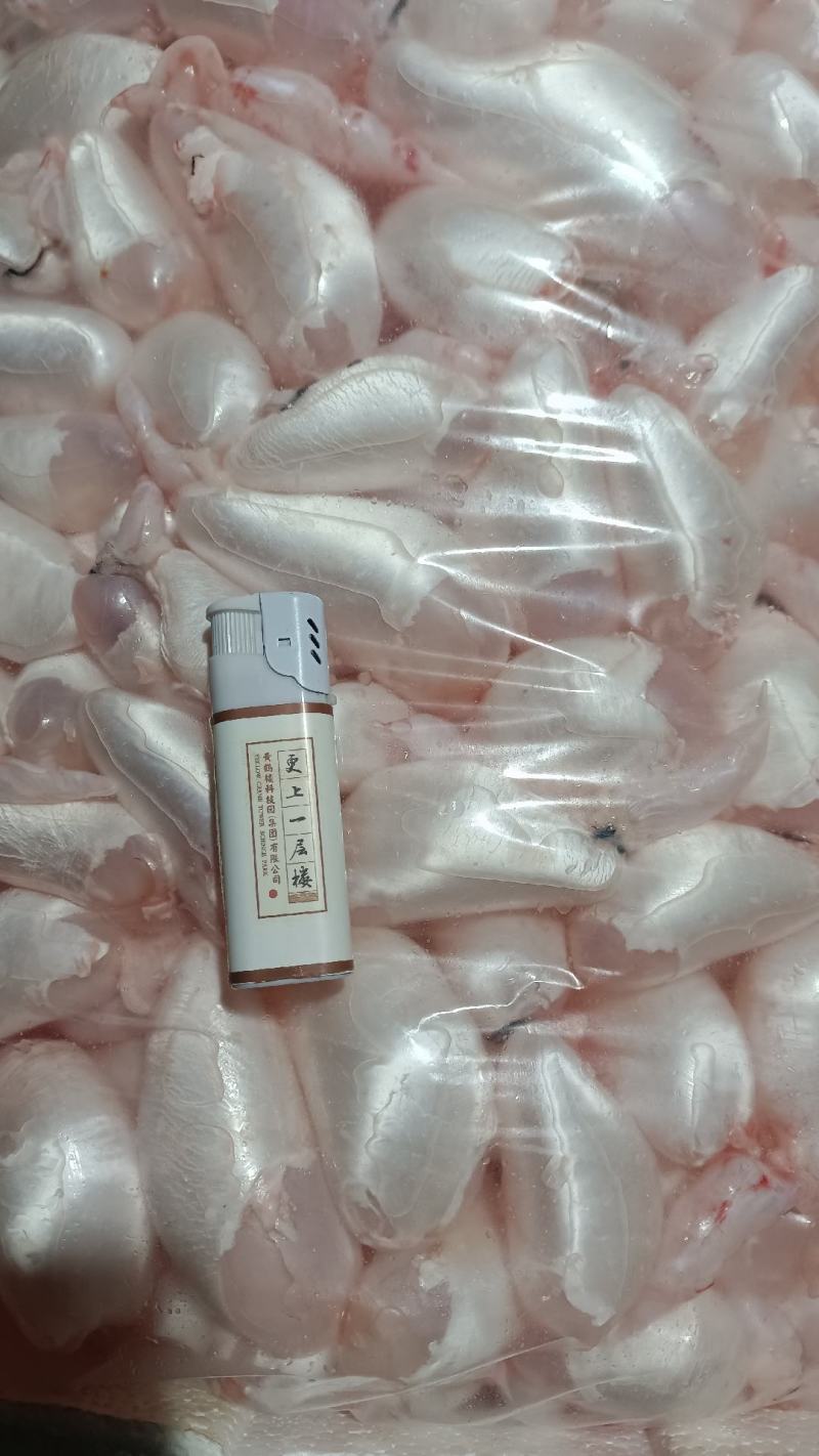 新鲜鱼籽:鱼蛋:鱼泡:鱼白:产地直发一手货源
