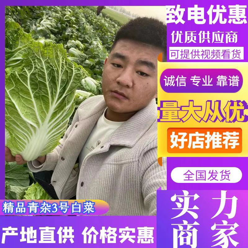 湖北矮颗玲珑黄，大白菜，无烧心，无虫害，