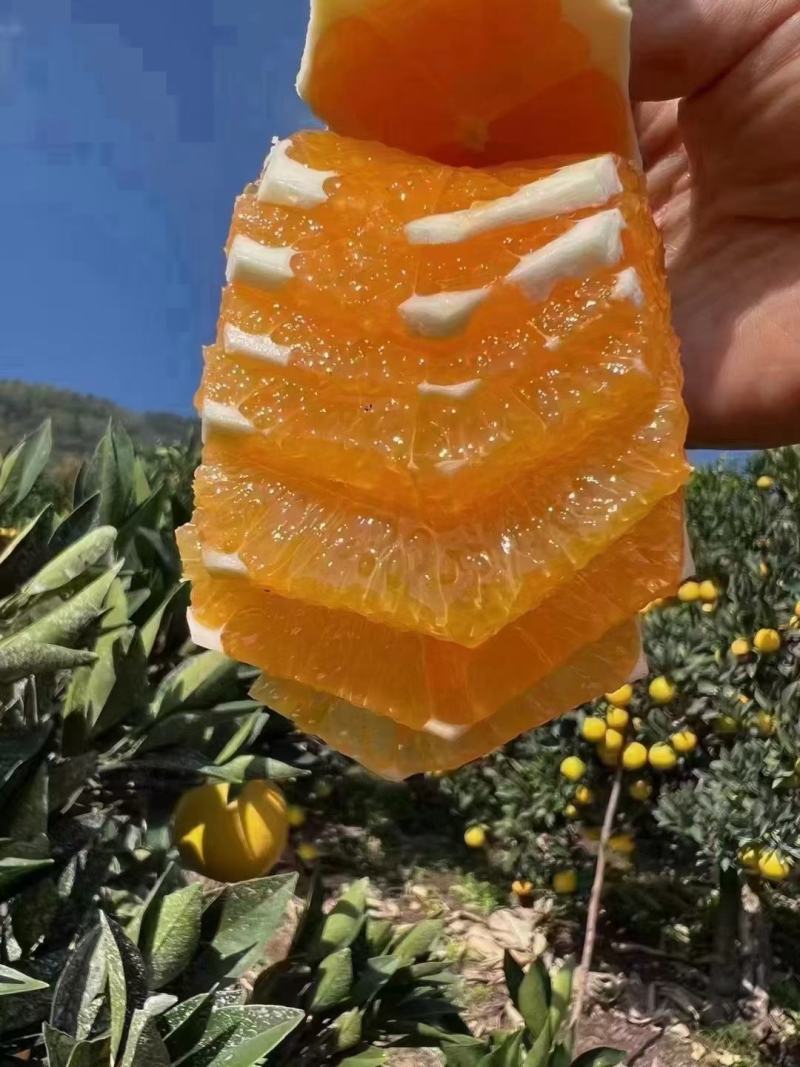 好山好水出好果，秭归长虹脐橙为你的健康保驾护航。