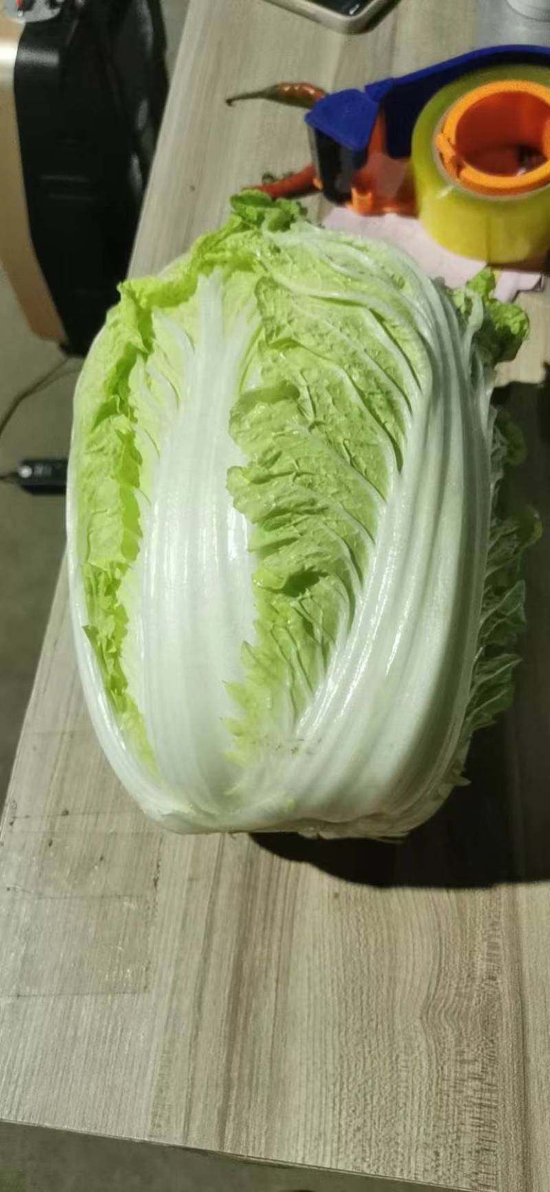 【精品】黄心白菜大白菜大量上市周期长品质好无烧心烂心菜！