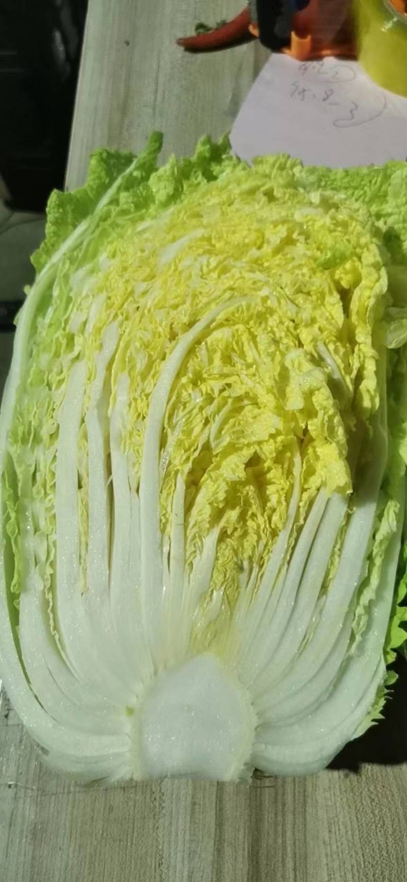 【精品】黄心白菜大白菜大量上市周期长品质好无烧心烂心菜！