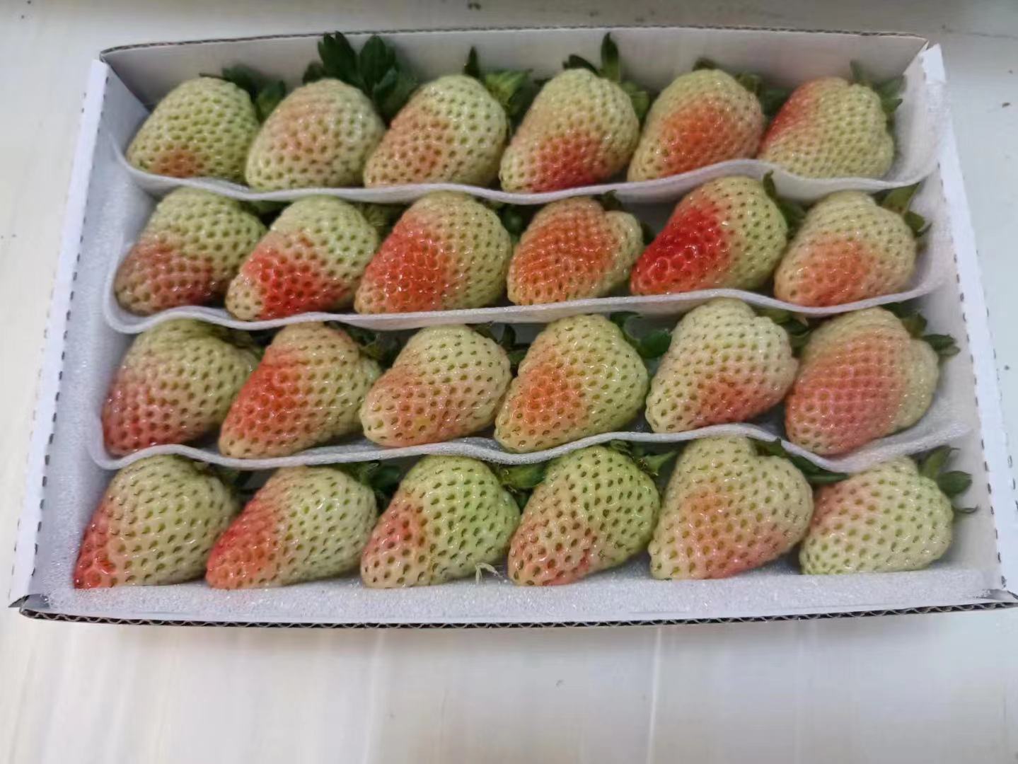 艳丽草莓果实特写