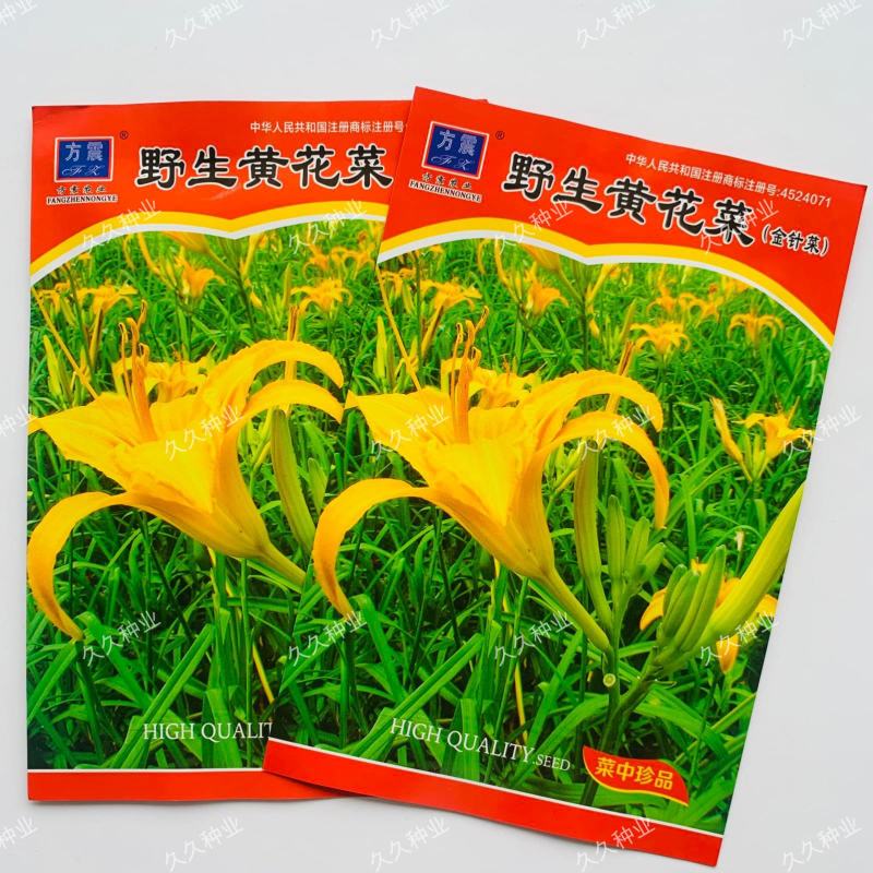 野生黄花菜种子耐热抗寒保健野菜金针菜阳台盆栽菜园种植
