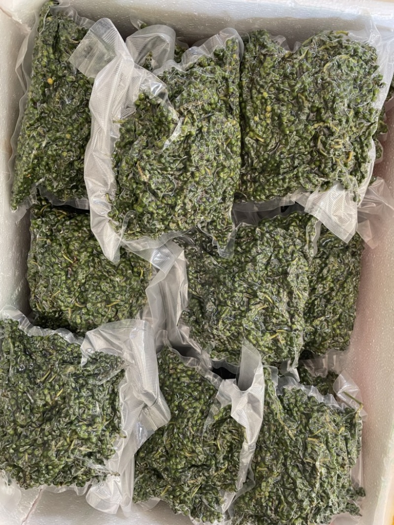 鲜胡椒青胡椒，现摘现发，全国多省包邮
