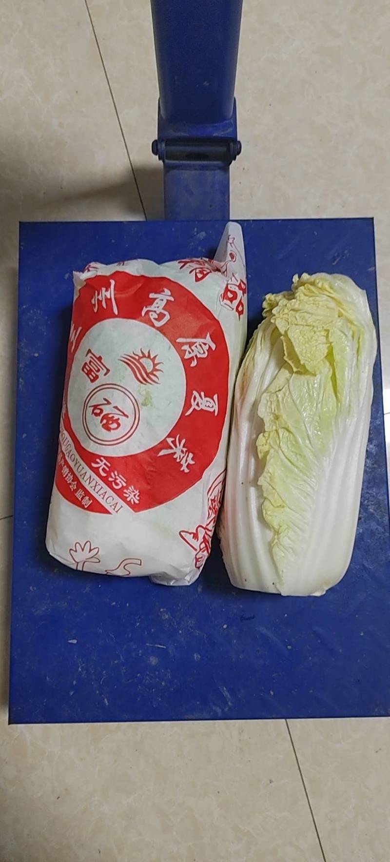 精品黄心高原夏菜娃娃菜条型好大颗高品质娃娃菜