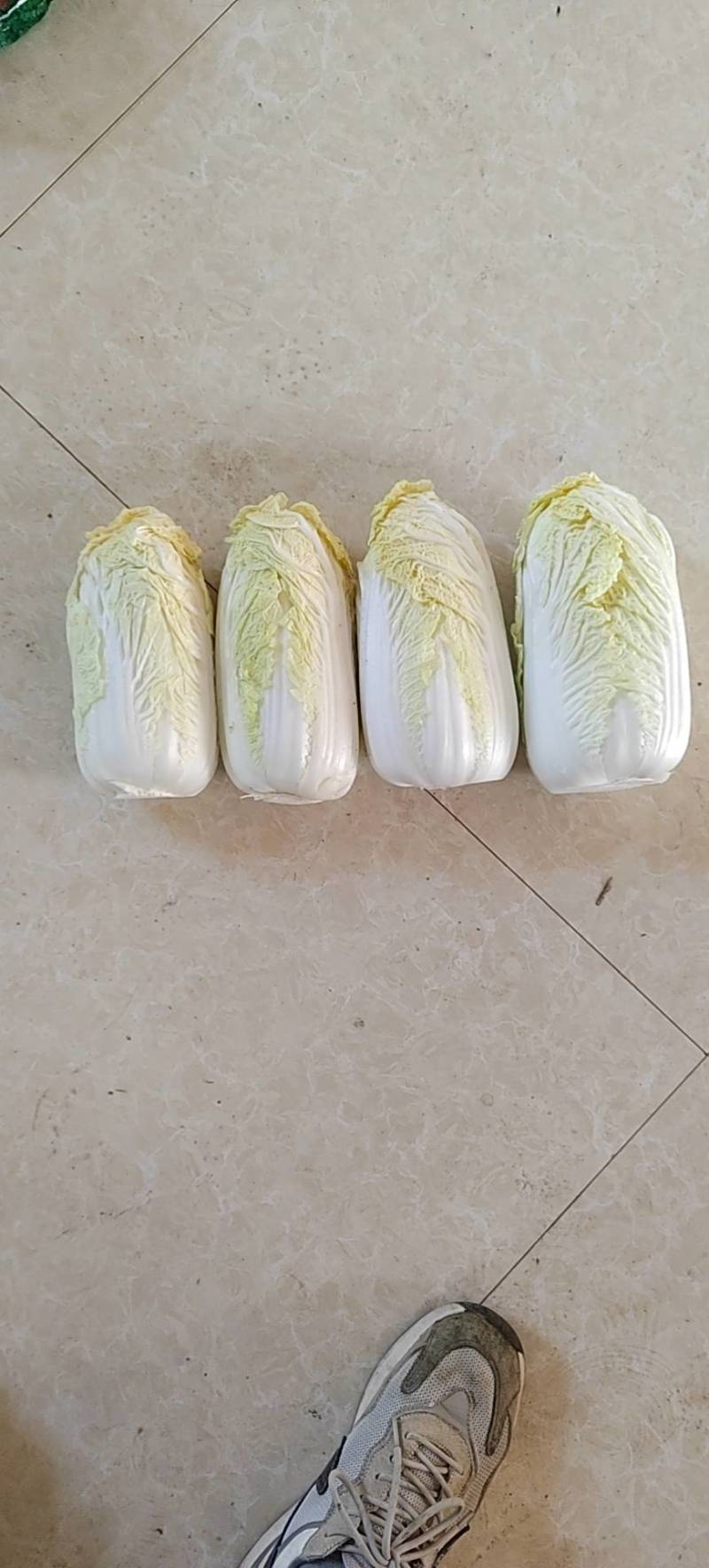 精品黄心高原夏菜娃娃菜条型好大颗高品质娃娃菜