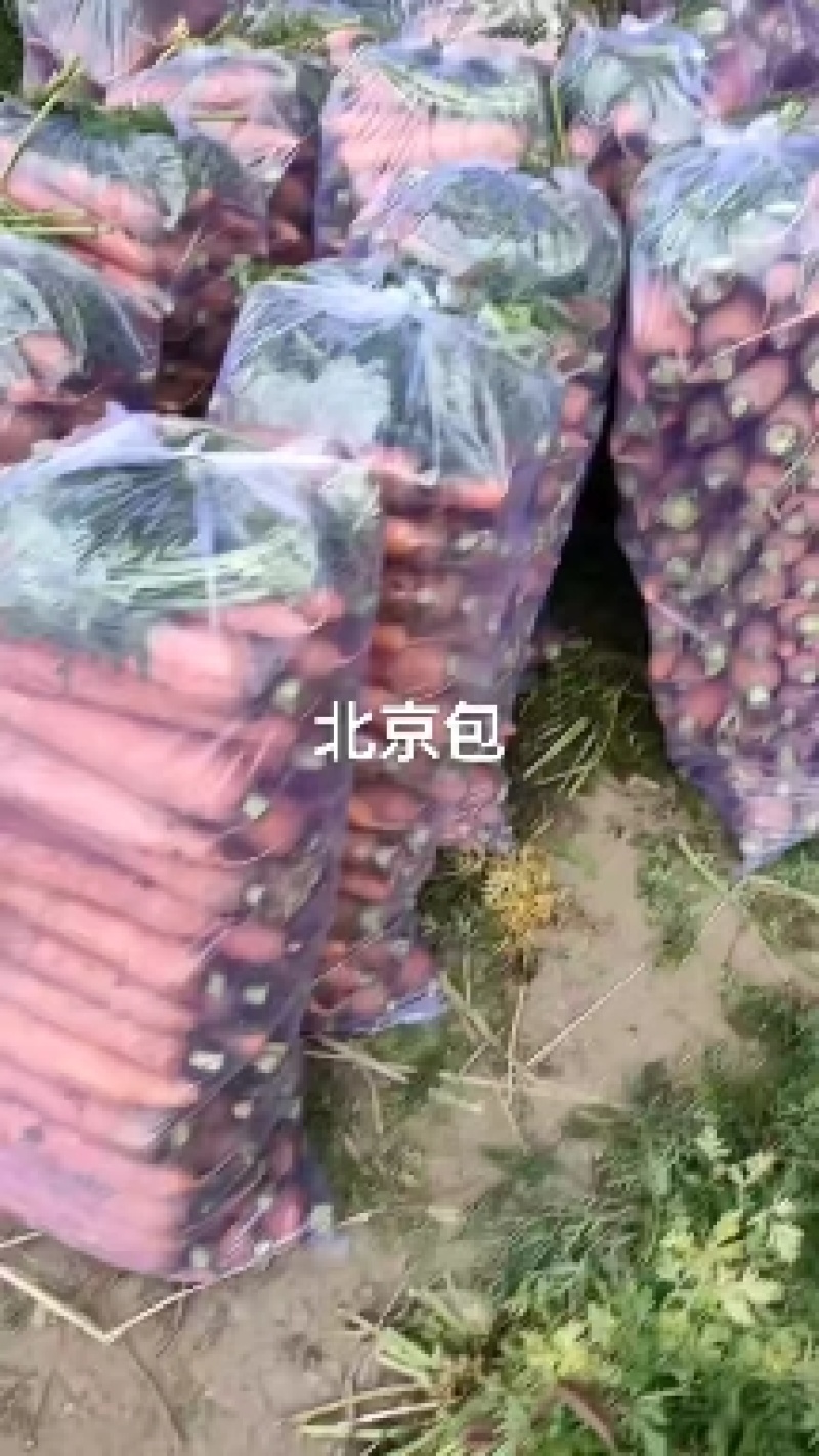 胡萝卜