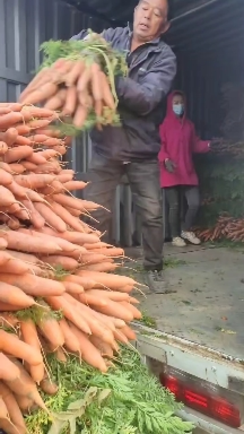 胡萝卜