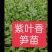 娃娃菜苗