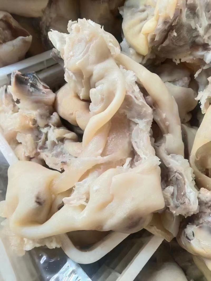 牛蹄去骨牛蹄留筋清水火烧牛蹄牛脚牛掌牛爪