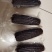 透明黑玉米，301品种，很好吃