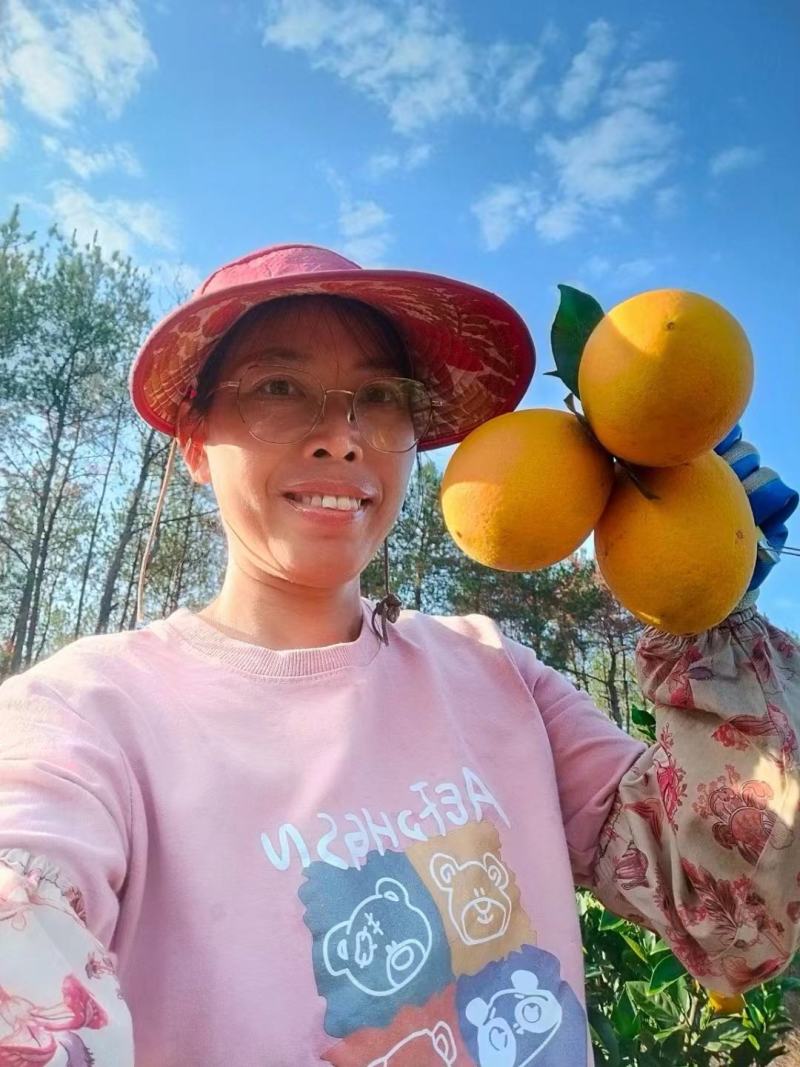 【推荐】精品纽荷尔脐橙大量上市新鲜采摘皮薄味甜欢迎采购