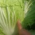 蔬菜