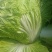 蔬菜