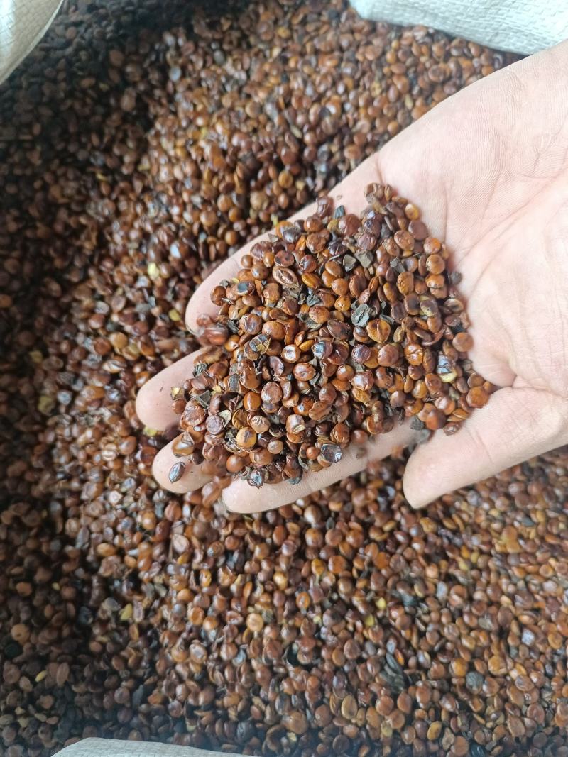 炒酸枣仁炒枣仁产地云南好统货香味浓永盛药业品种齐全