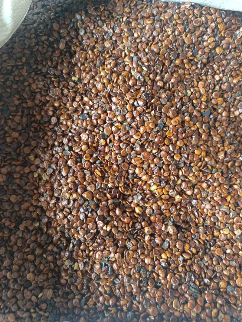 炒酸枣仁炒枣仁产地云南好统货香味浓永盛药业品种齐全