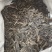 元参玄参好统货产地湖北永盛药业品种齐全质量好价格低