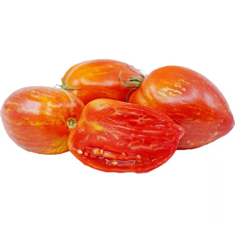 包邮，【口感大果番茄苗】彩色砂糖蜜柿，新品种，可试种。