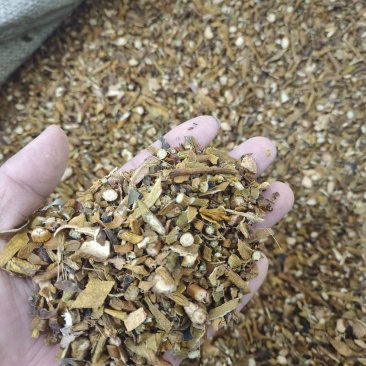 槲寄生产地吉林好统货永盛药业品种齐全质量好价格低