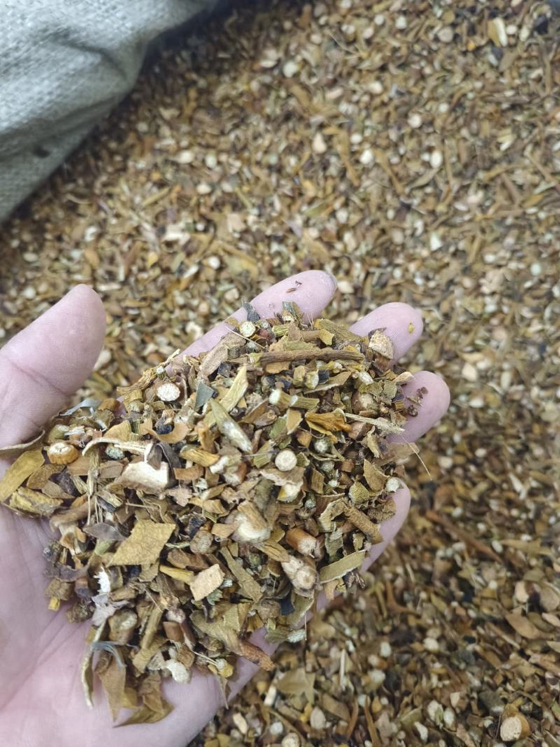 槲寄生产地吉林好统货永盛药业品种齐全质量好价格低