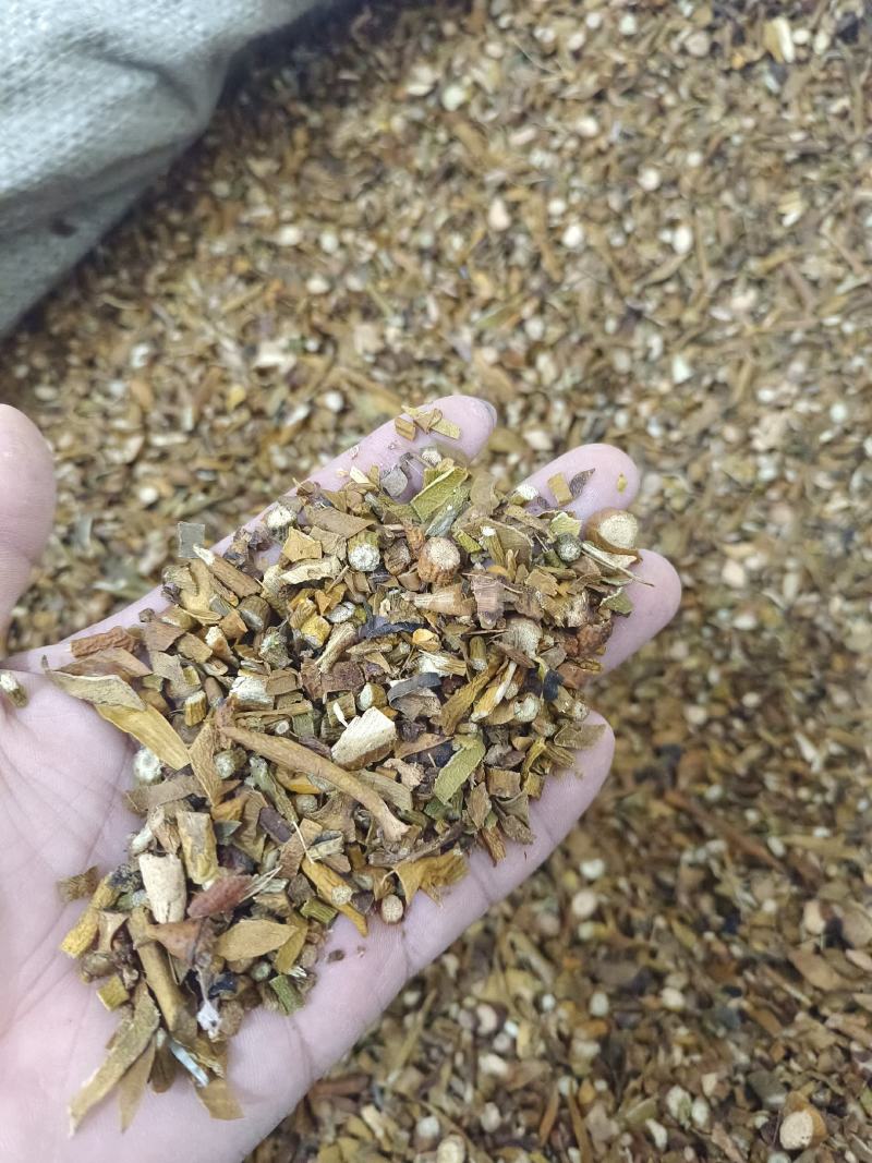 槲寄生产地吉林好统货永盛药业品种齐全质量好价格低