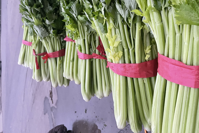 精品芹菜，西芹大量上市65公分以上产地供货供应全国！