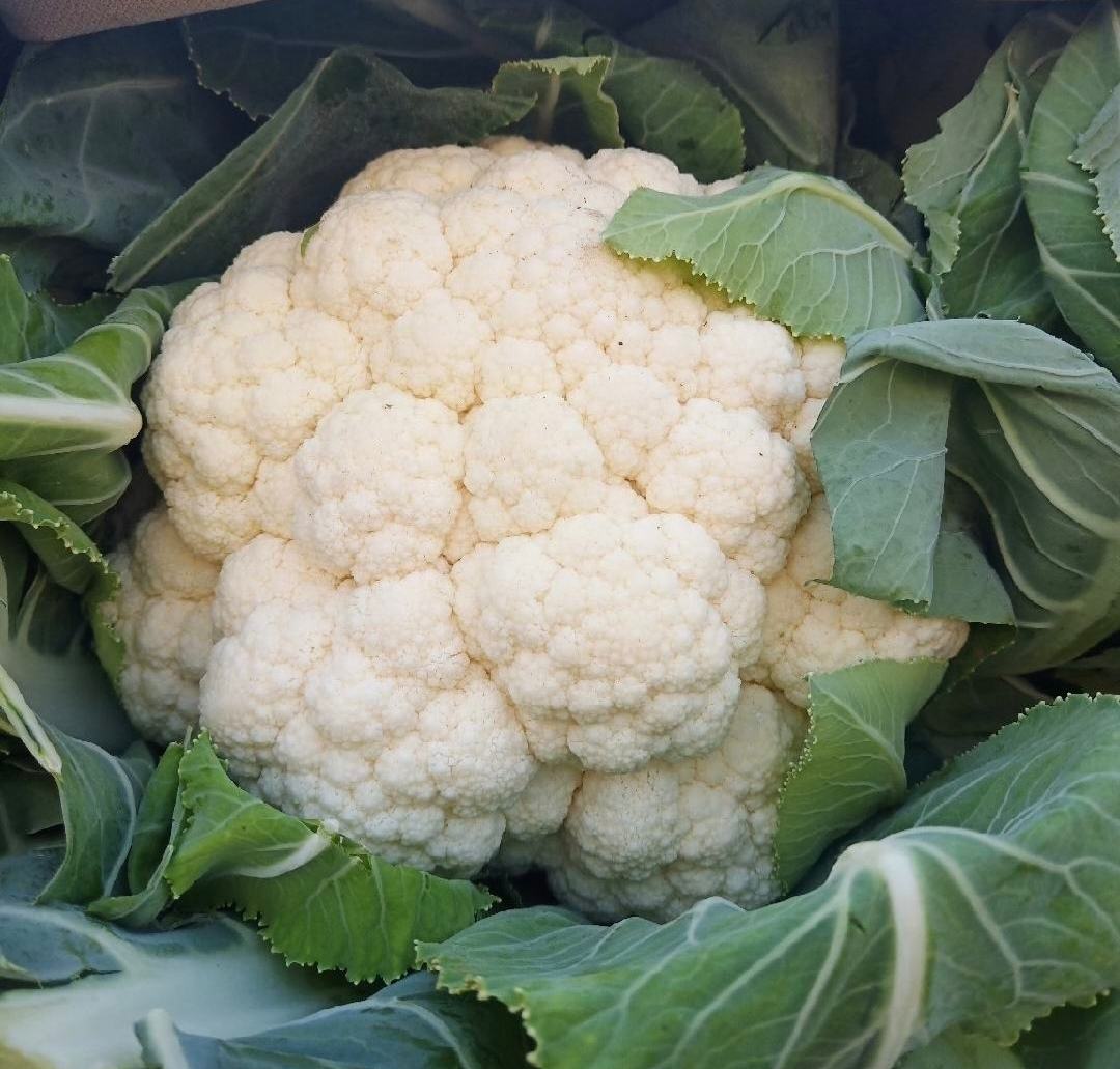 薯藤梗与白面青梗松花菜翻炒过程图