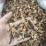 皱木瓜产地湖北好统货永盛药业品种齐全质量好价格低