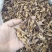 皱木瓜产地湖北好统货永盛药业品种齐全质量好价格低