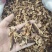 皱木瓜产地湖北好统货永盛药业品种齐全质量好价格低