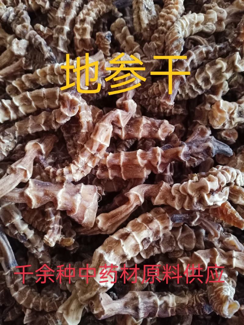 地参，中药材地参干虫草参中药材批发供应质量保证！