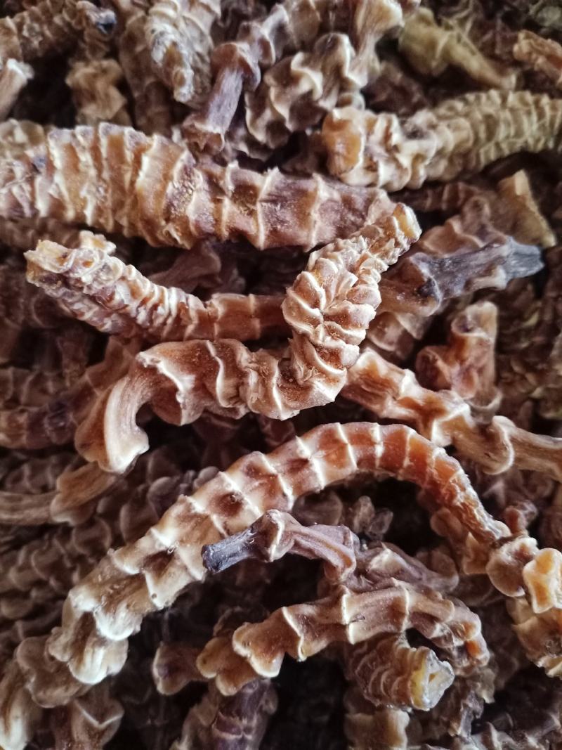 地参，中药材地参干虫草参中药材批发供应质量保证！
