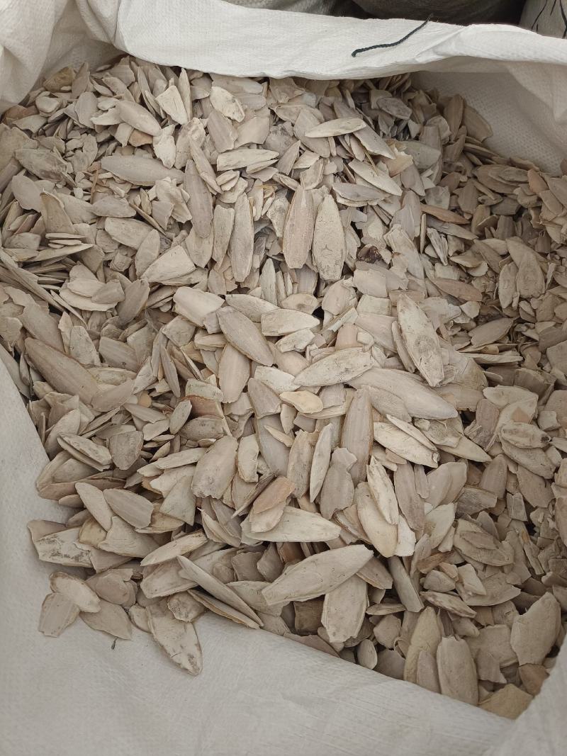 海螵蛸小个产地福建永盛药业品种齐全质量好价格低