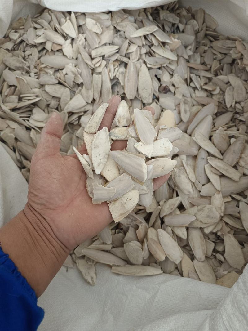 海螵蛸小个产地福建永盛药业品种齐全质量好价格低